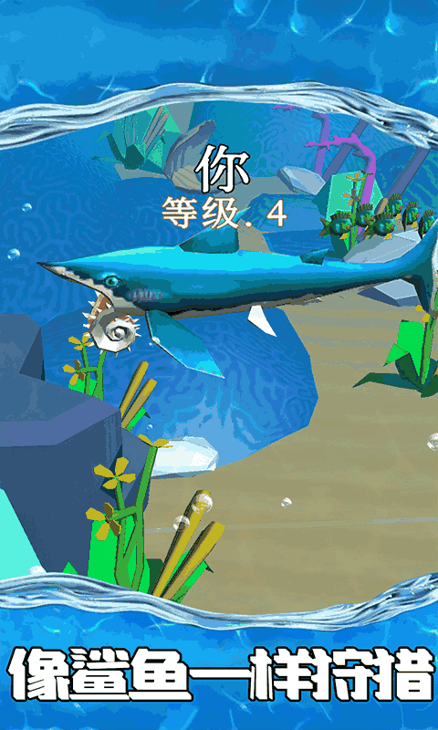 鲨鱼世界